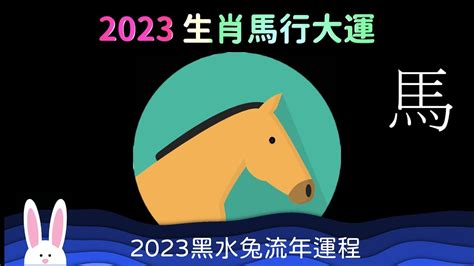 生肖馬顏色|【屬馬 顏色】屬馬的人注意了！2024年讓你運勢爆棚的幸運顏色。